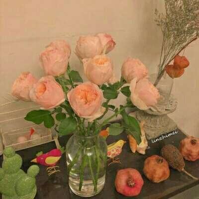 博喜体育官网截图